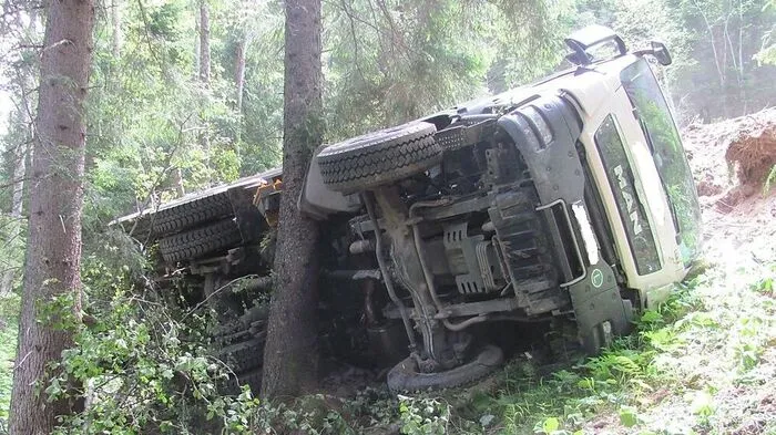 Der Lkw blieb an einem Baum hängen