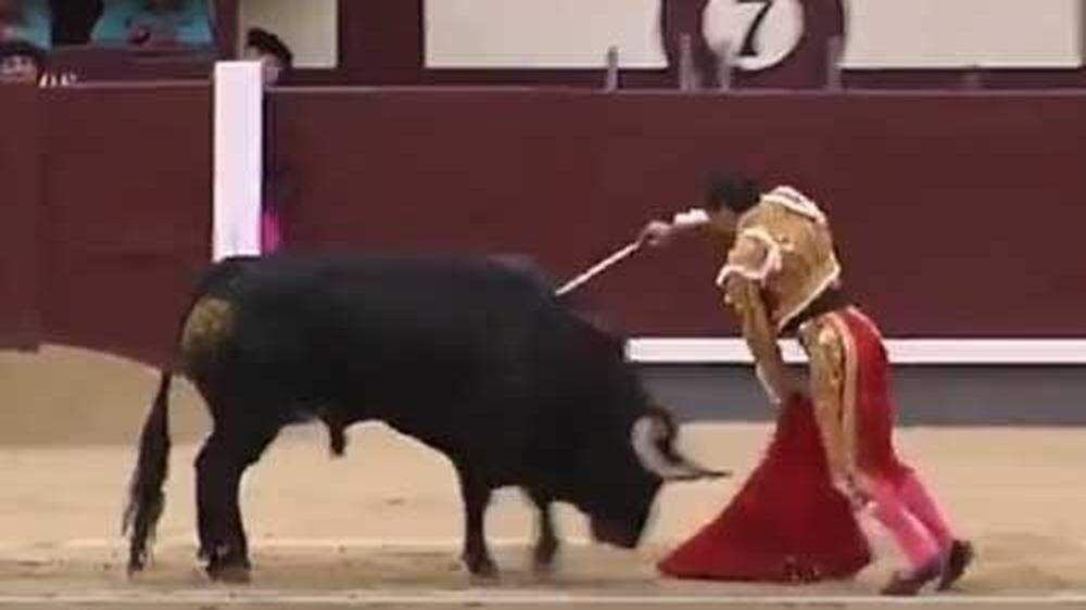 Bekannter Torero bei Stierkampf in Madrid lebensgefährlich verletzt