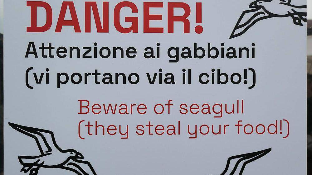 Venedig warnt vor aggressiven Möwen mit Tafeln auf Müllcontainern