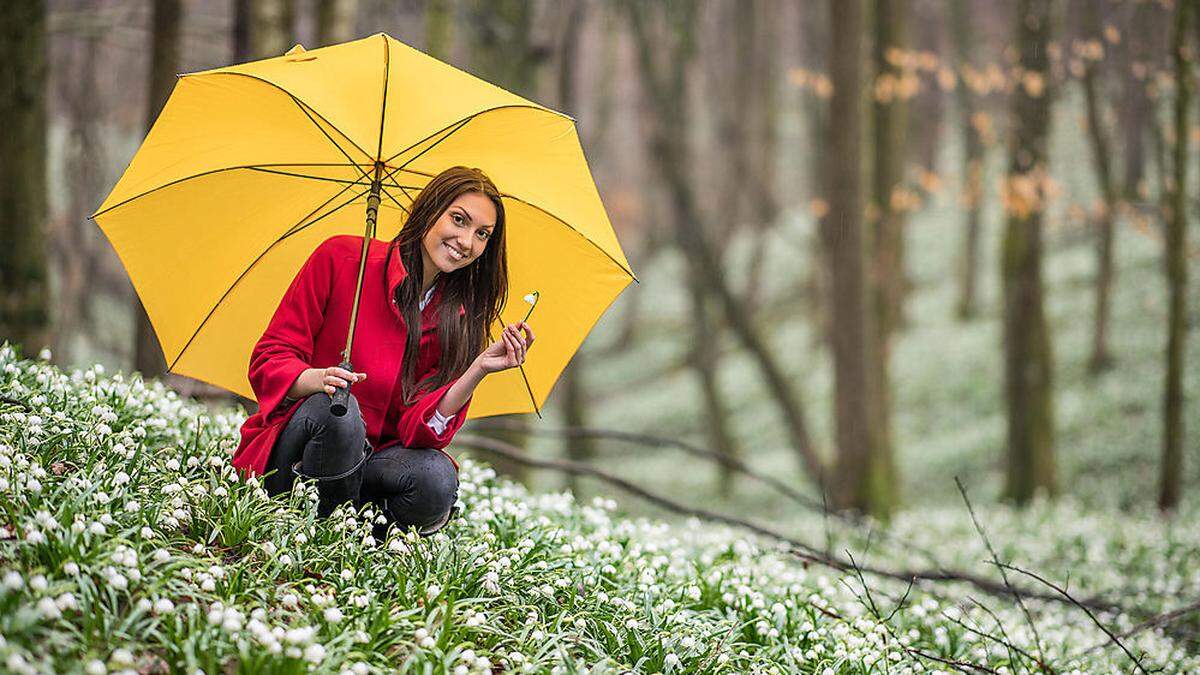 Den Regenschirm sollte man in Richtung Wochenende nicht vergessen