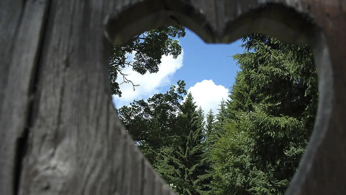 Natur, Herz, Wald, Osterwitz