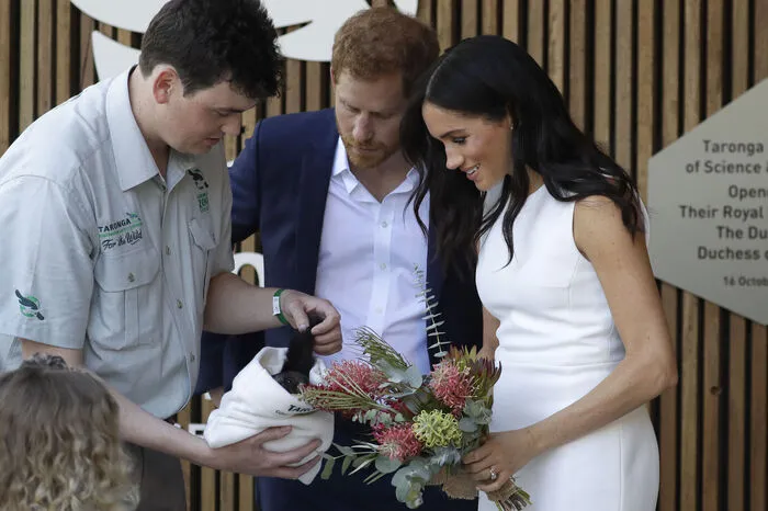 Aber auch das Gleithörnchen hat es den Royals angetan
