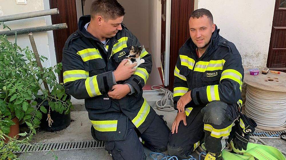 Die Florianis der FF Wildon retteten zuerst eine Babykatze und mussten gleich zum nächsten Einsatz eilen: ein Verkehrsunfall auf Höhe Unterer Markt