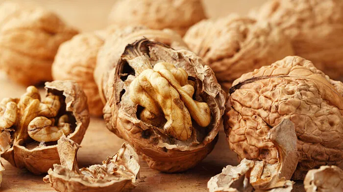 Die Walnuss sollte man auch für ihre Regionalität schätzen: Sie ist bei uns heimisch und daher auch eine ökologisch wertvolle Knabberei. Außerdem enthält sie einen hohen Anteil an Antioxidantien: Diese Stoffe verhindern, dass wild gewordene freie Radikale im Körper Zellen angreifen.