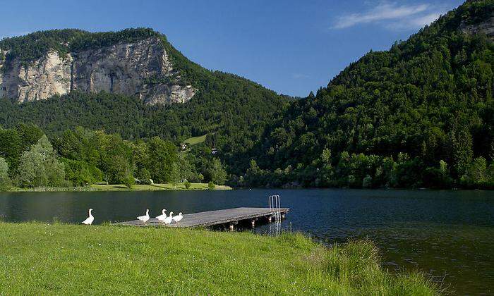 Abkühlung im Hochsommer garantiert: Der Linsendorfer See ist ein altes Draubett
