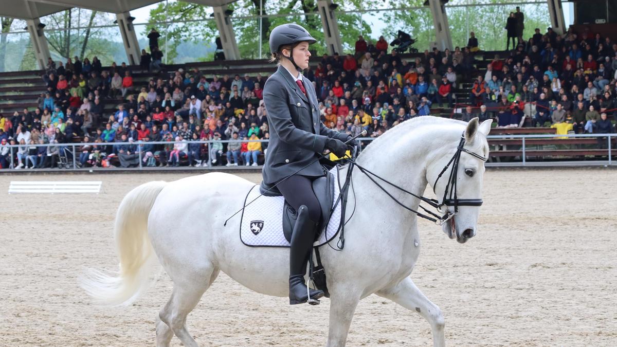 Die beliebte Muttertagsgala mit Vorführungen der Spanischen Hofreitschule ist vorerst Geschichte