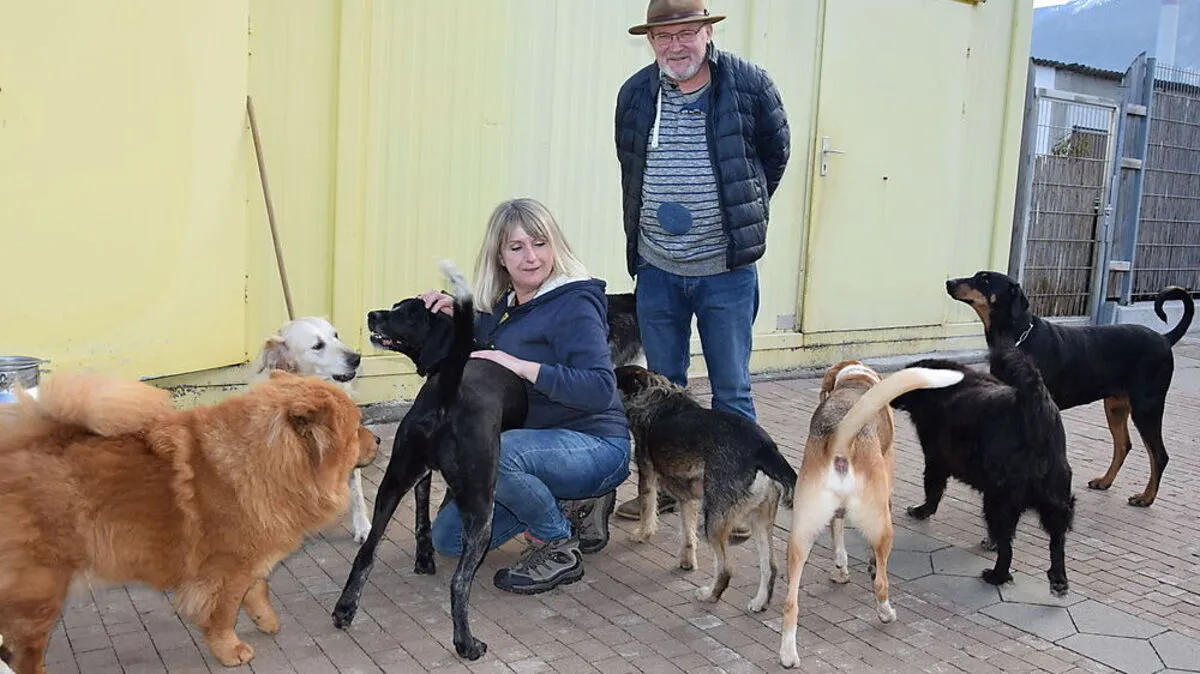 Hans Nagl und Mitarbeiterin Ingrid kümmern sich liebevoll um ihre Schützlinge