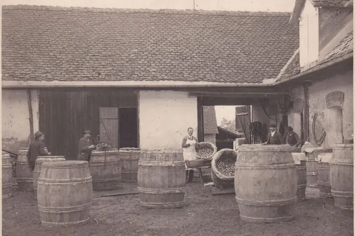 In den Anfängen war das Weingut ein Eigenbauschank, der Vorläufer des heutigen Buschenschanks.