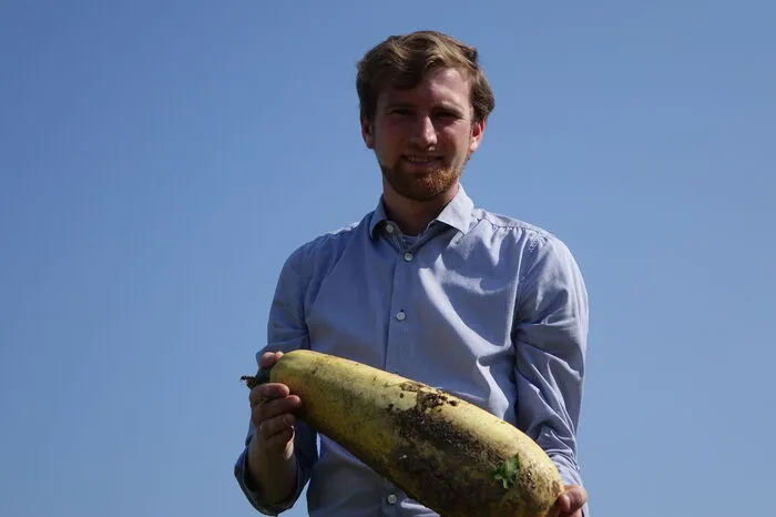 Das ist ein chinesischer Ölkürbis.