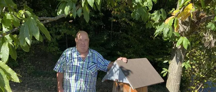 Peter Seidnitzer hält eines seiner Bienenvölker in einem Baumstamm. Die Honigbienen darin können frei bauen und behalten ihren Honig