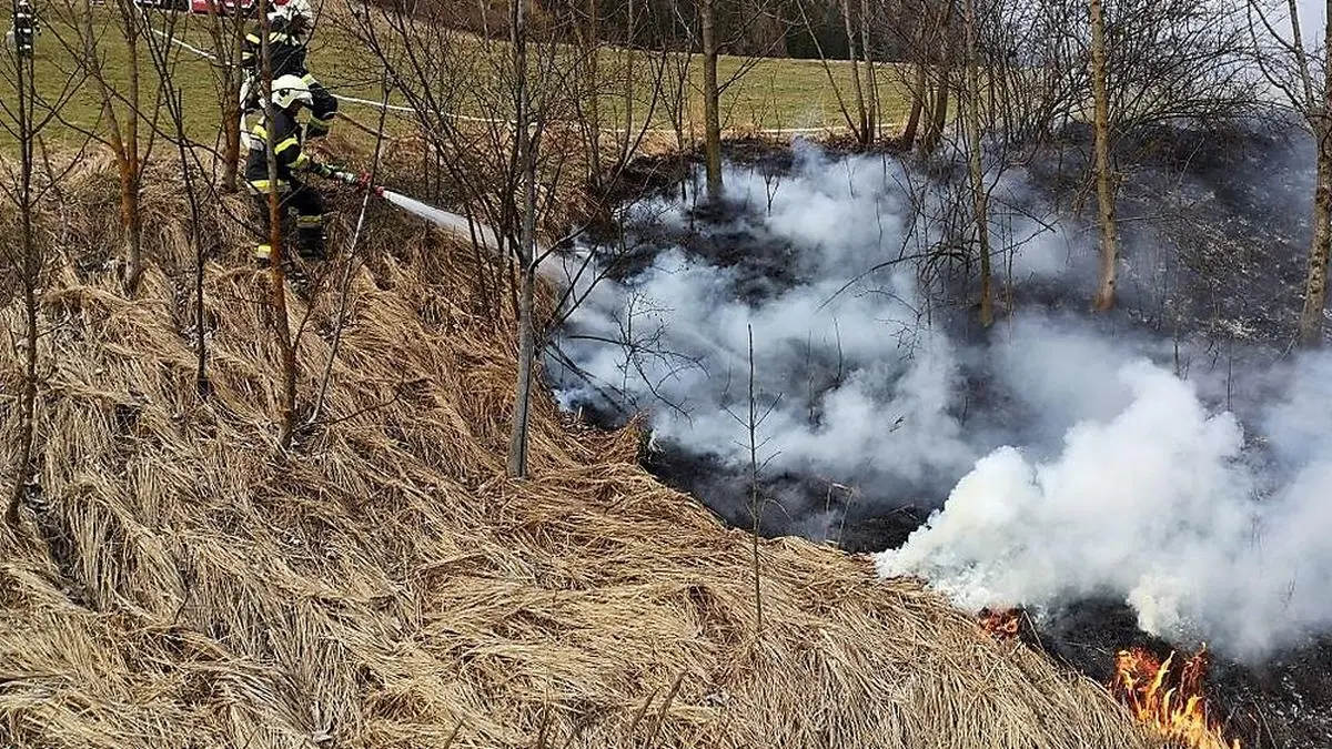 Insgesamt 50 Feuerwehrleute waren im Einsatz, um ein Ausbreiten zu verhindern