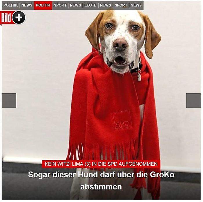 Die "Bild"-Zeitung statuierte ein Exempel: Hund Lima ist nun SPD-Mitglied