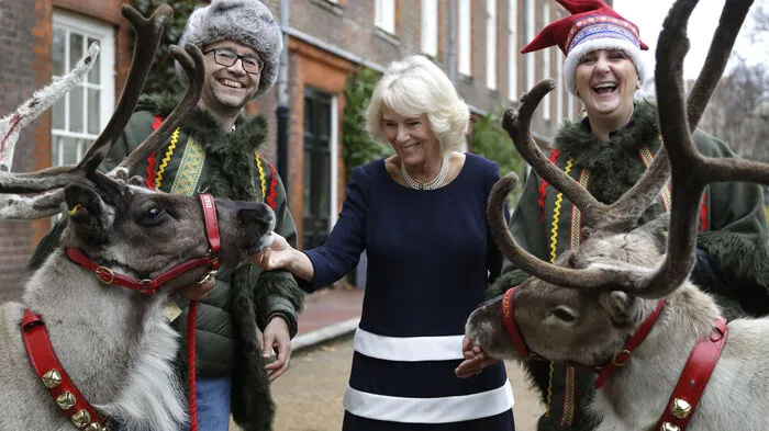 Man wusste fast nicht, wer mehr Freude an den pelzigen Überraschungsgästen hatte: Camilla oder die Kinder eines Hospizes, die die Herzogin ins Clarence House lud.