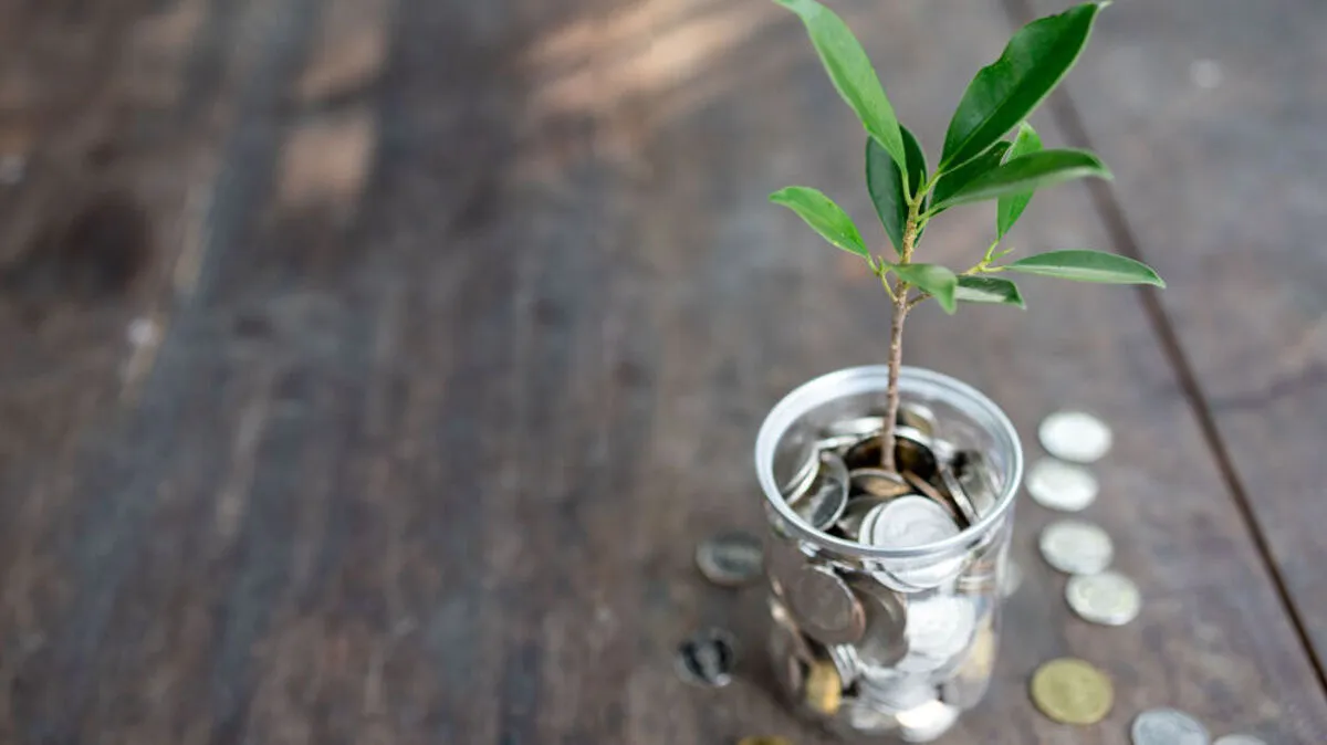 Gute Ideen müssen erst zum Geschäftsmodell wachsen