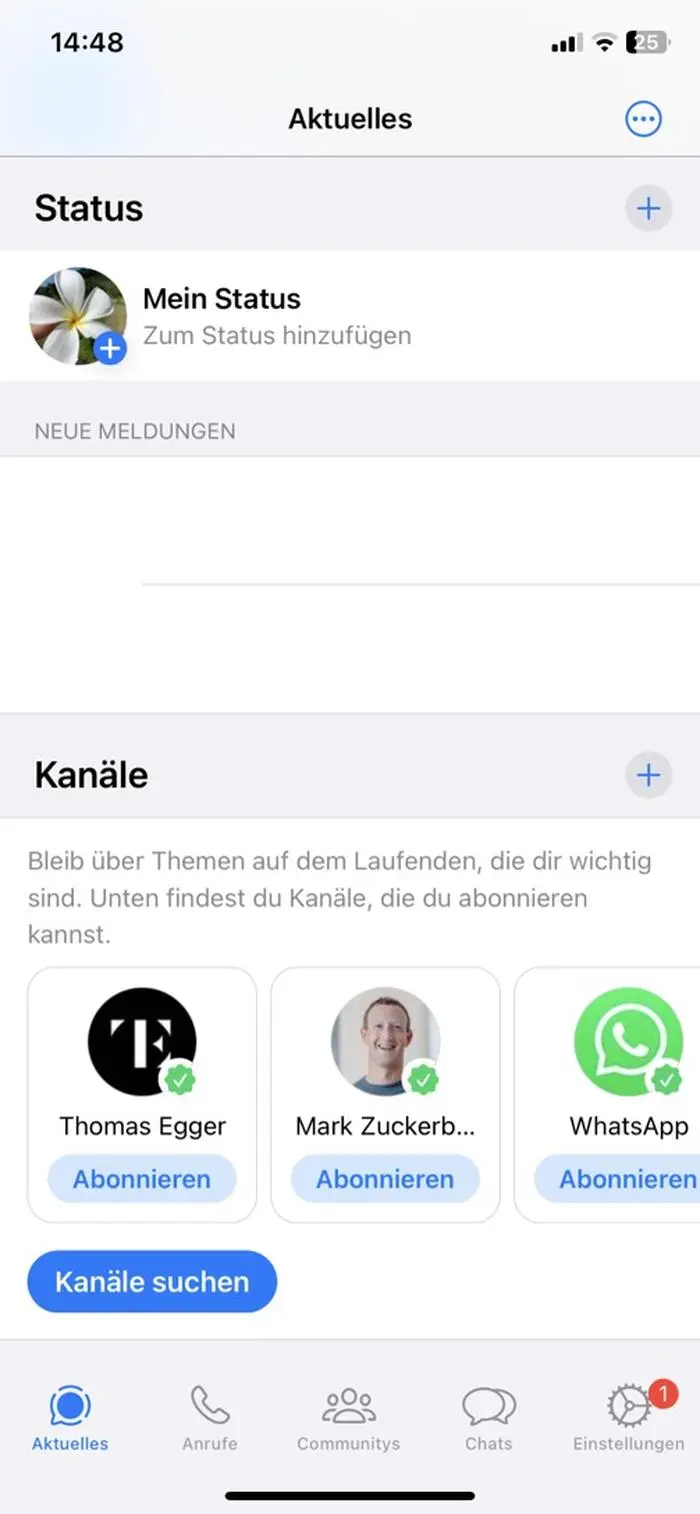 Die Kanäle wurden uns bei einem Selbsttest unter den Statusmeldungen angezeigt. 