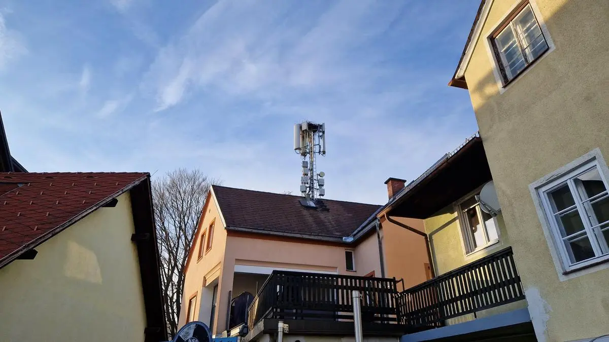 Storchennest auf Handymast | Der Horst muss in den nächsten Wochen umgesiedelt werden, ehe die Störche aus Afrika zurückkehren