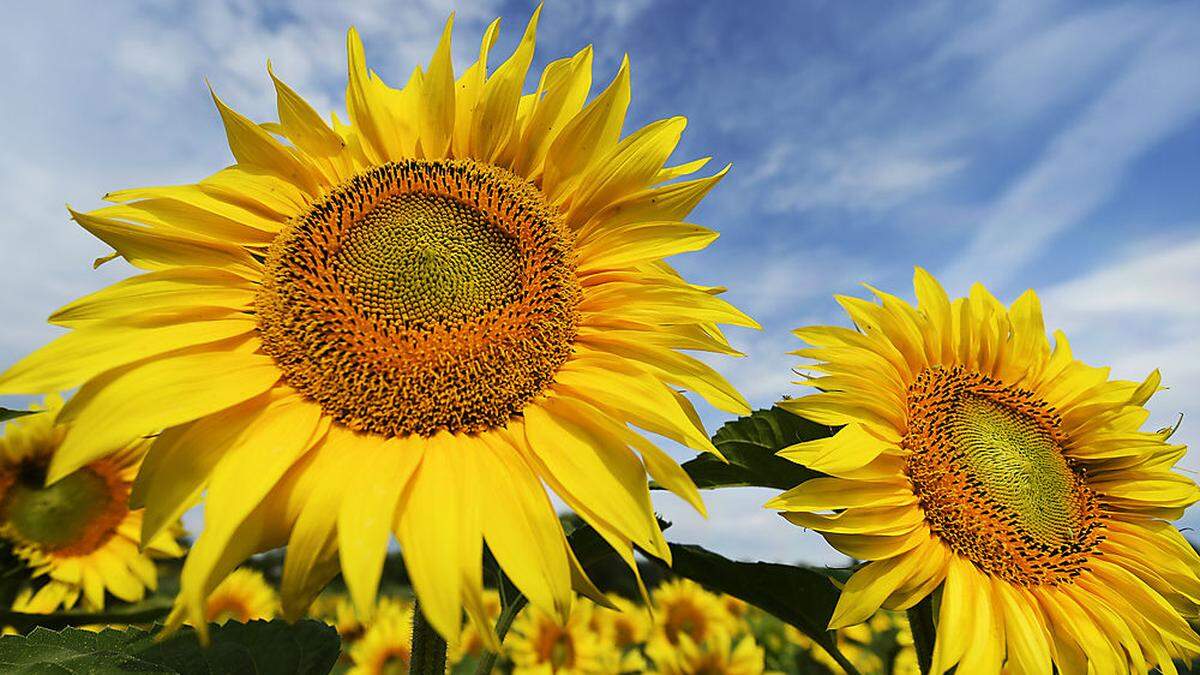 Das Wetter bleibt tendenziell eher unbeständig