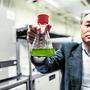 Aktuelle Forschung: flüssiger Brennstoff aus Mikroalgen