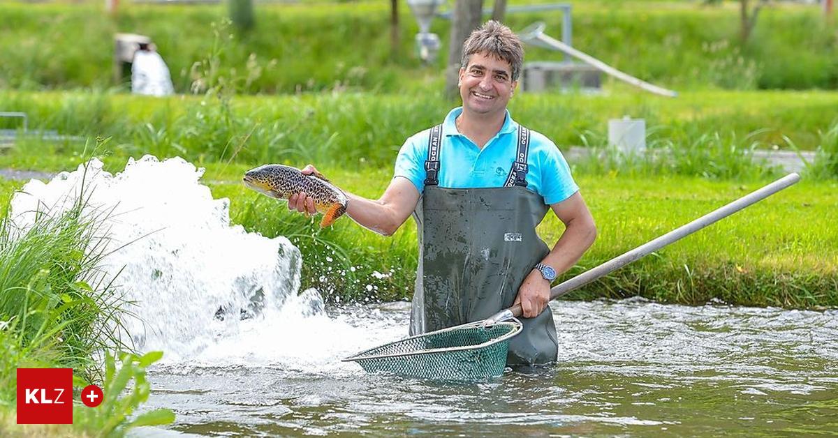 Döbriach Fischzüchter Andreas Hofer plant 25 Teiche und ein Kleinkraftwerk