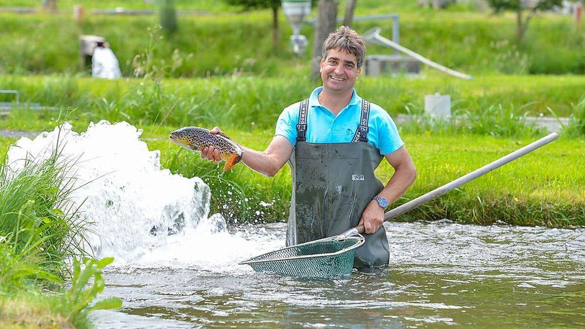 Fischzüchter Andreas Hofer möchte seine Zucht mit 25 Teichen in Döbriach erweitern