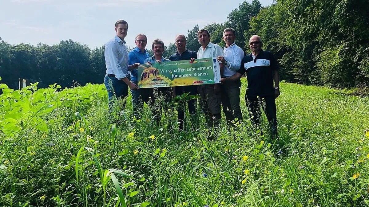Im Vulkanland gibt es immer mehr Bienenweiden