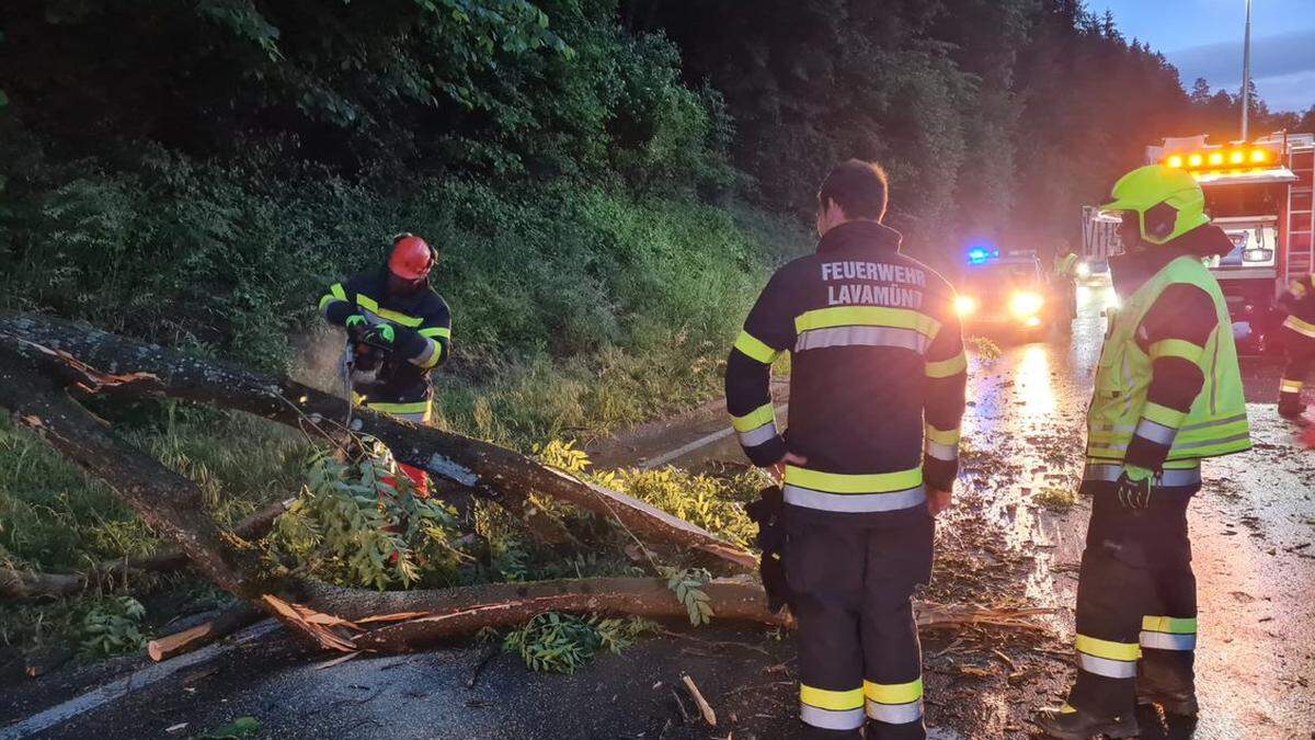 Eine große Esche krachte auf die Lavamünder Straße