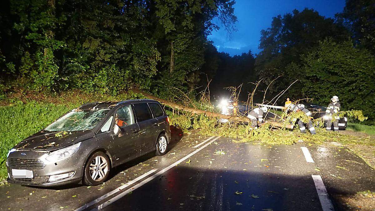 In Lebring-St. Margarethen stürzte ein Baum auf ein Auto, verletzt wurde niemand