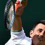 Bernand Tomic lies bei seinem Auftritt in Wimbledon Einsatz vermissen