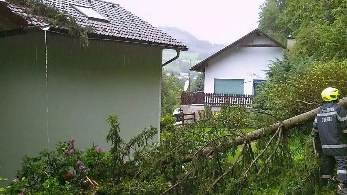 Der Baum beschädigte das Wohnhaus