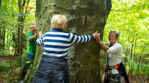 Die Energie fließt in beide Richtungen – Bäume umarmen tut gut 