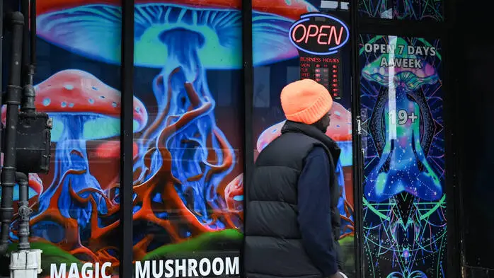 Ein Mann geht an einem Schaufenster mit der Aufschrift „Magic Mushrooms“, auf dem bunte Pilze abgebildet sind, vorbei.