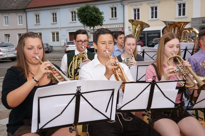 Die übliche Besetzung besteht nur aus Blechblasinstrumenten, die vom Schlagwerk unterstützt werden.