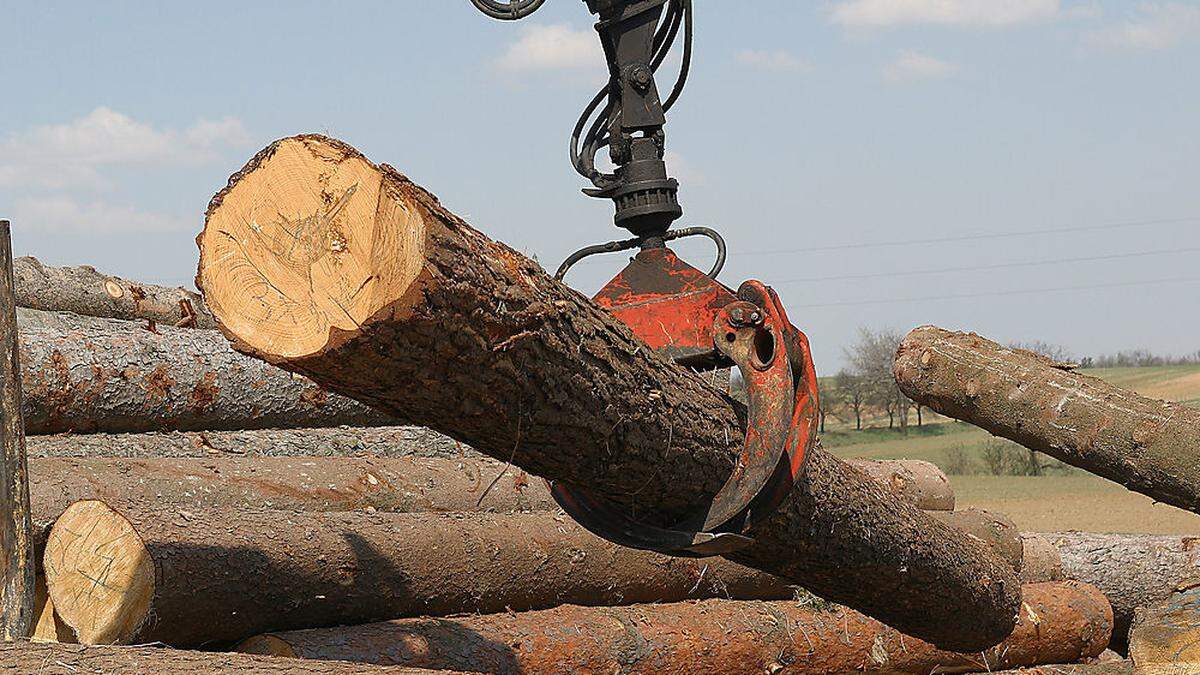 Österreich könnte 5 Millionen Festmeter Holz zusätzlich ernten, um Ausfällen infolge des Ukraine-Kriegs zu begegnen