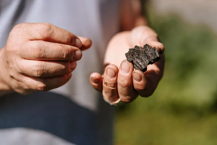 Als Boden-Verbesserer setzt Tropper voll auf Terra preta (portugiesisch), auf „Schwarze Erde“.