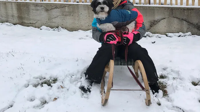 Linda aus Staudach genießt mit ihrem Hund Felix den winterlichen Frühling. Vielen Dank für das Bild an Leserreporterin Silke Ehrenhöfer!