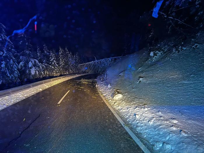 Ein umgestürzter Baum verlegte die Straße auf den Katschberg