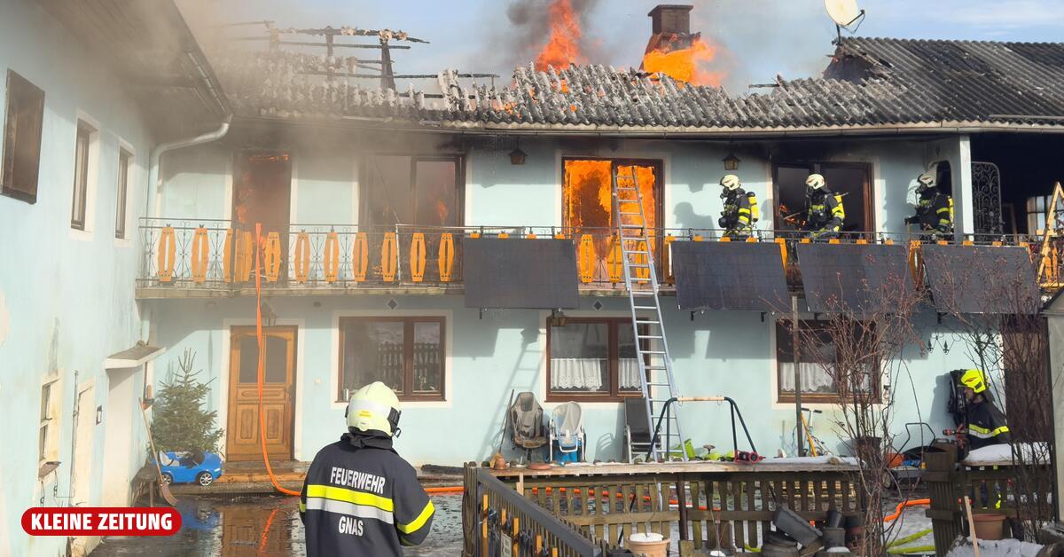 Rinder, Schweine, Hasen und Hund bei Großbrand in Obergnas gerettet