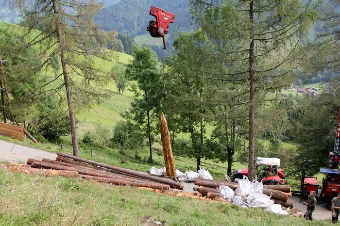 Der Forstseilkran transportiert die Holzpiloten direkt zur Baustelle