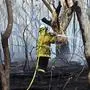 A firefighter doses a bushfire in the residential area of Sydney on November 12, 2019. - Bushfires raging across eastern Australia on November 12 singed the Sydney suburbs, where firefighters were forced to scramble planes and helicopters to splatter a built-up neighbourhood with water and red retardant. (Photo by Saeed KHAN / AFP)