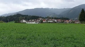 Hier entstehen künftig mehr als 200 Wohnungen