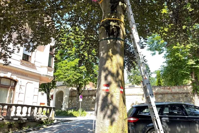 Weitere Fotos zum Durchklicken...