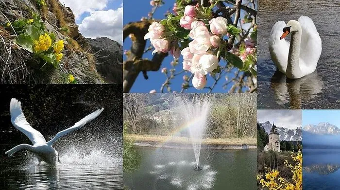 Unsere Leserreporterinnen und Leserreporter sind fleißig unterwegs und halten Menschen, Landschaften, Tiere und sportliche Tätigkeiten für uns mittels Fotos fest. Mailen Sie uns doch Ihre Schnappschüsse: leored@kleinezeitung.at Wir freuen uns darauf!