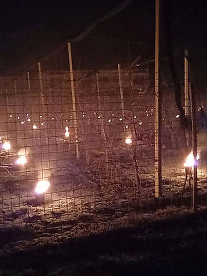 Die Feuerstellen sollen die Obsternte schützen