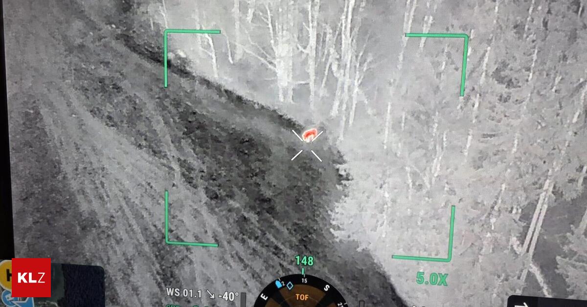 Bei-Zeil-P-llau-Entlaufener-Ochse-mit-Drohnen-gesucht