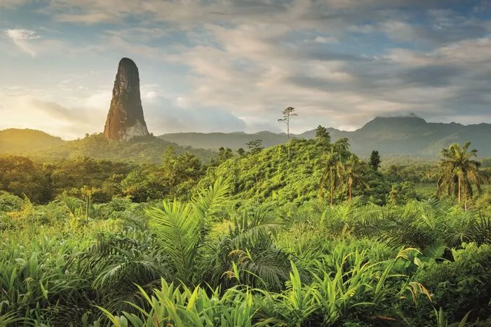 São Tomé & Príncipe. Der Inselstaat im Golf von Guinea liegt fernab des Massentourismus: Also ab ins Flugzeug und die Geheimnisse der paradiesischen Strände, der surrealen Landschaften und des dichten Dschungels erkunden.