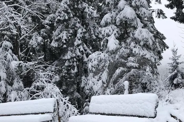 Ein weißes Tuch deckt die Joglland-Waldheimat zu.