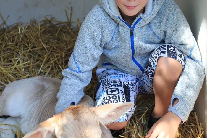 Sohn Maximilian hat bereits einen Liebling auserkoren: Stier Bingo.