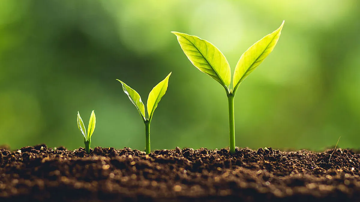 Österreich kehrt auf den Wachstumspfad zurück