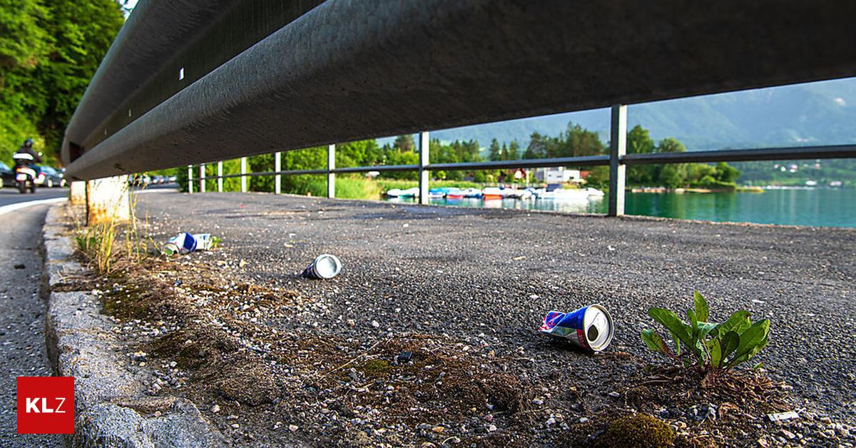 Problem nimmt zu: 100 Lkw-Ladungen Müll: So wird Kärntens Natur verdreckt