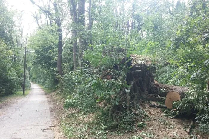 Der Breitenweg selbst ist aber begehbar.